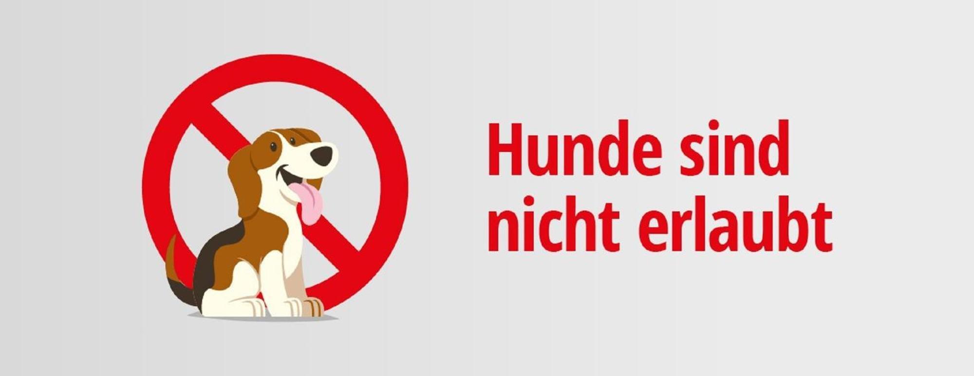Pension Seecafe Zarrentin am Schaalsee Rom bilde